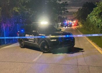 COLONIA AVIACIÓN: Hallan cuerpo de hombre entre la maleza en Playa del Carmen