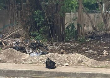 XCALACOCO: Reiteran llamado a frenar devastación de selva