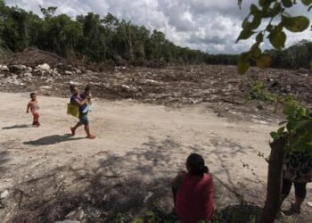 TREN MAYA: Informe documenta alza de violencia en la península de Yucatán