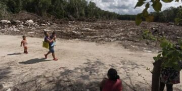 TREN MAYA: Informe documenta alza de violencia en la península de Yucatán