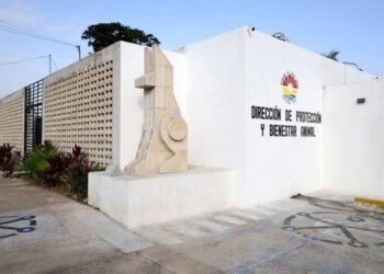 MODELO RENOVADO: Preparan reapertura del Centro de Bienestar Animal