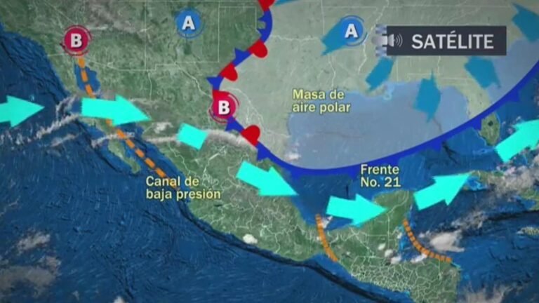 Alerta por el frente frío 21: 10 estados bajo amenaza de heladas y temperaturas bajo cero