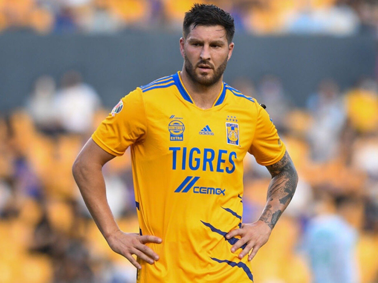 André-Pierre Gignac a los 40 años: ¿La última Liguilla del máximo ...