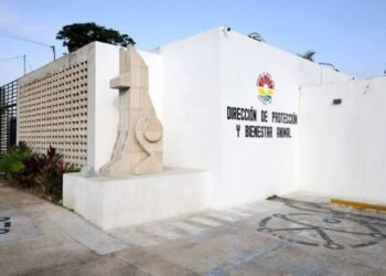 BROTE DE MOQUILLO: Denuncia regidor cierre del Centro de Bienestar Animal