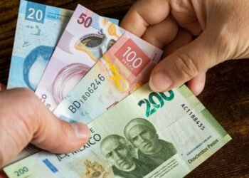 Capital golondrino: El riesgo detrás de la apreciación del peso mexicano