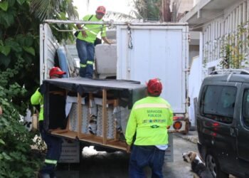 Realizan mega campaña de descacharrización en Isla Mujeres