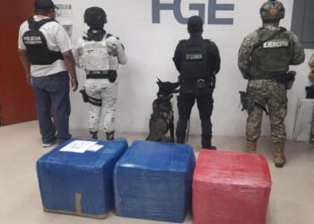 PLAYA DEL CARMEN: Hallan cargamento de droga en centro logístico