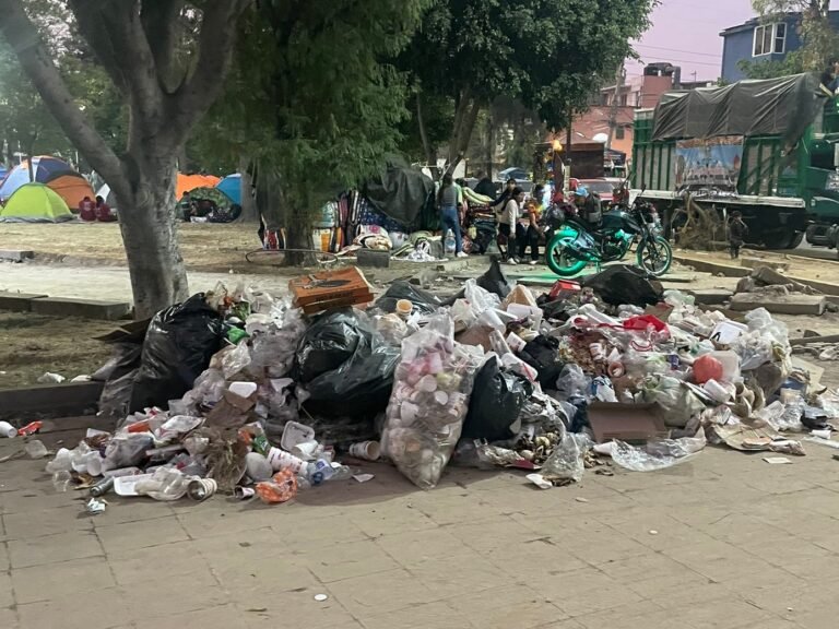 El desafío logístico Basílica Guadalupe 2025: seguridad, derrama y 2 mil toneladas de basura