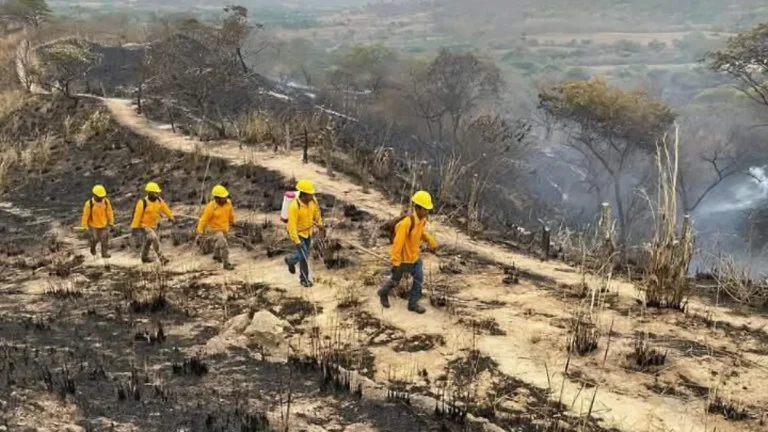 El incendio forestal en Chiapas amenaza 380 hectáreas de La Sepultura