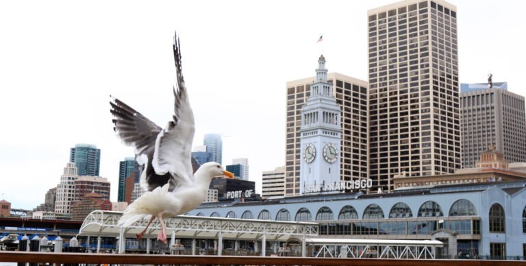 El rascacielos prohibido de Santa Bárbara: la batalla que enfrenta a Newsom con los desarrolladores