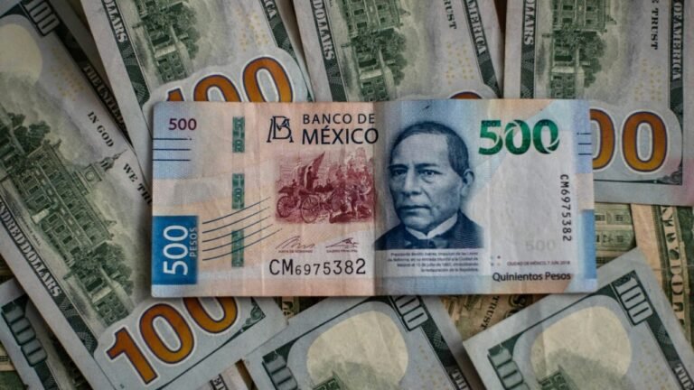El superpeso resiste: claves de un cierre fiscal 2025 histórico y la debilidad del dólar