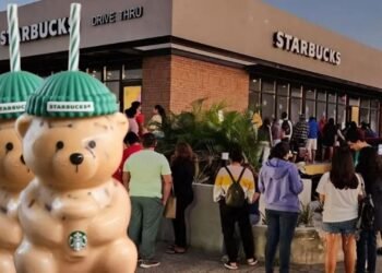Escasez y emoción: Las claves ocultas del fenómeno vaso Bearista de oso Starbucks 2025