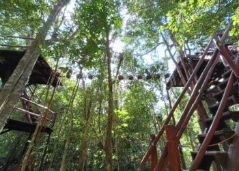 MÁS ALLÁ DEL SOL Y LA PLAYA: Crece el turismo de Aventura en Puerto Morelos