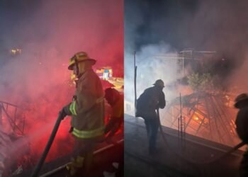 Sofocan bomberos incendio de palapa en Holbox (VIDEO)