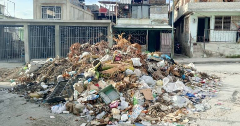 La crisis económica que desató la epidemia de dengue y chikungunya en Cuba