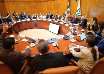 La instalación del comité de trato digno en el IMSS: ¿Política o discurso?