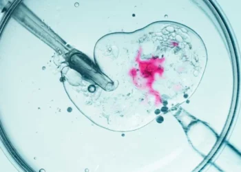 La inteligencia artificial redefine la reproducción asistida y el dilema de los embriones