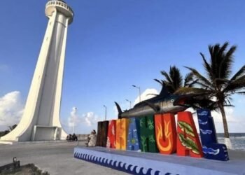 ADVIERTE COPARMEX: Expone incendio vulnerabilidad de Mahahual en temas de protección civil