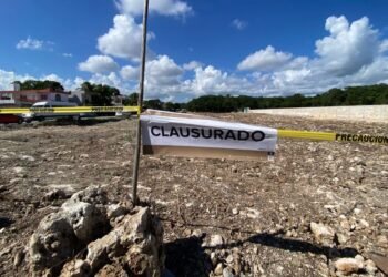 ALERTA ACTIVISTA: Insisten desarrolladores en “pedir perdón” que acatar la ley ambiental