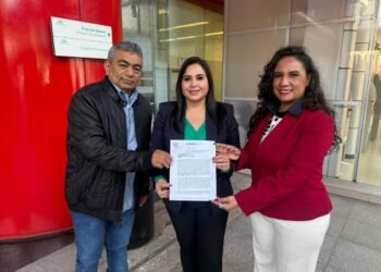 FALLAS ELÉCTRICAS: Regidores piden a la CFE instalar mesa de trabajo por apagones en PDC