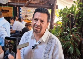 TREN MAYA: Exige diputado del PAN transparencia por daños ambientales en QR