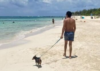 PLAYAS PÚBLICAS: Reitera Zofemat prohibición de ingresar mascotas fuera del balneario autorizado