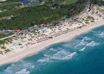 Liberan más de un millón de crías de tortugas marinas en Cancún este 2025