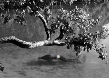 TRAS HORAS DE BÚSQUEDA: Hallan cuerpo de septuagenario ahogado en laguna de Huay-Pix