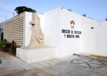 TRAS REMODELACIÓN: Reabrirán Centro de Bienestar Animal la próxima semana