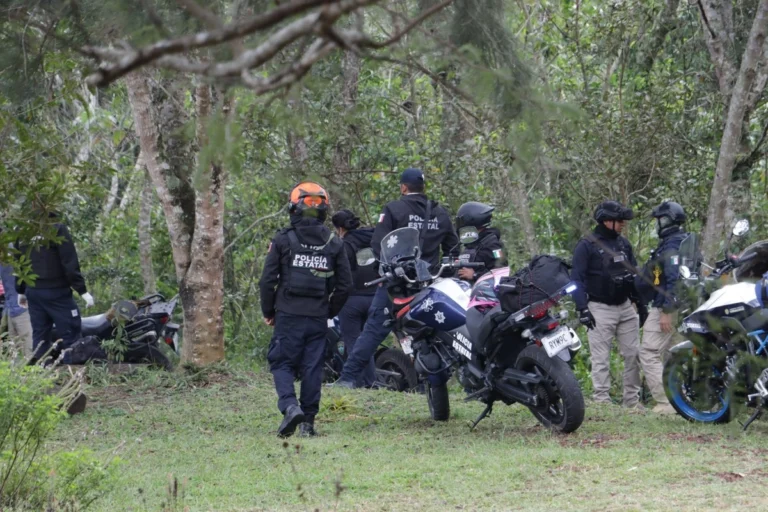 Agresión con diábolos a Manuel Nava Silva, defensor del Bosque Don Roberto