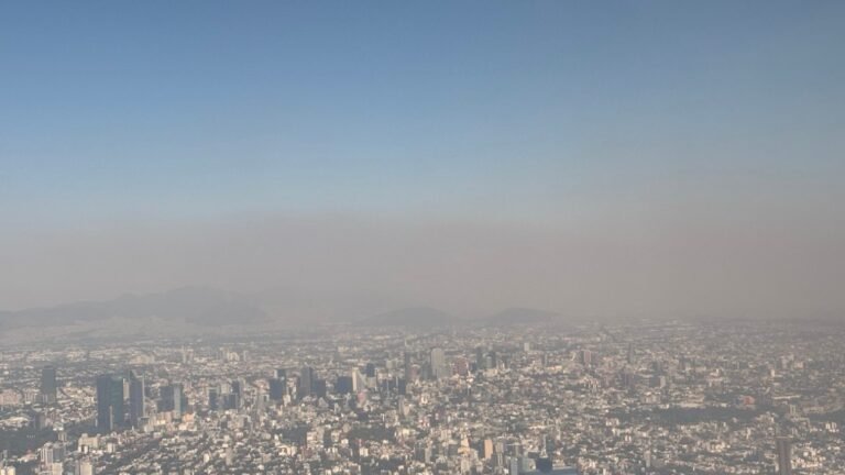 Alerta máxima por ozono: ¿Por qué el doble hoy no circula regresó el 9 de enero?