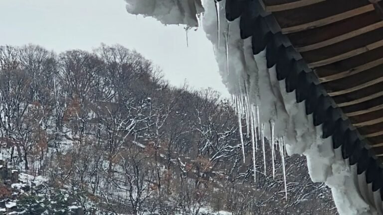 Análisis crítico del Frente Frío 30: Impacto en el clima y divergencia en Coahuila