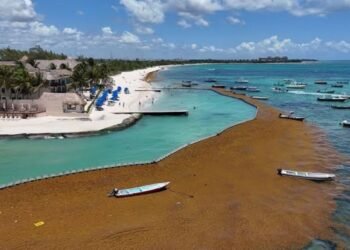 PLAYA DEL CARMEN: Avanza instalación y ampliación de barrera antisargazo