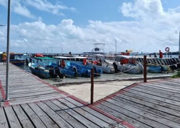 COMPLICADO INICIO DE AÑO: “Golpea” mal clima a cooperativa turística de Puerto Juárez