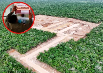 Clausura de granja avícola en Yucatán por cambio de suelo ilegal