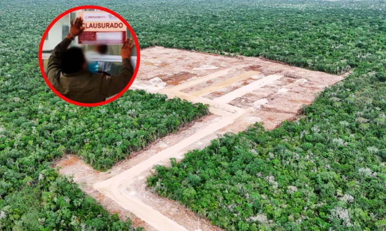 Clausura de granja avícola en Yucatán por cambio de suelo ilegal