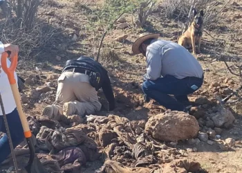 Colectivo Desaparecidos Querétaro halla fosa en San Juan del Río