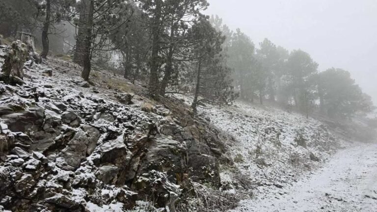 El clima gélido para Monterrey: Temperaturas de un solo dígito y nevadas inminentes