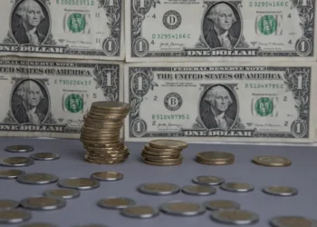 El costo invisible: la deuda pública por habitante se duplicó en diez años