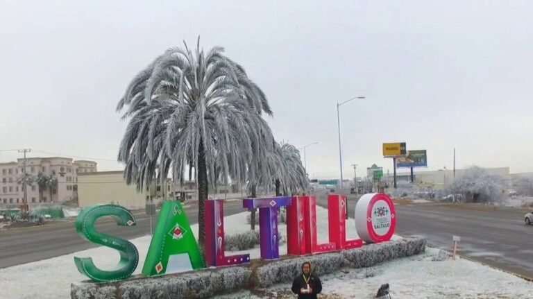 El crudo invierno que congeló Coahuila: heladas, nieve y la tormenta 27