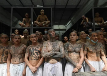 El impacto colateral de las políticas antipandillas en El Salvador