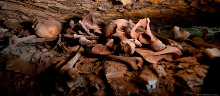 El misterio de los guepardos momificados en cuevas de Arabia Saudita