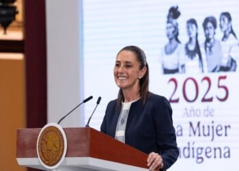 El plan de la presidenta Sheinbaum para elegir plurinominales y reducir costos electorales