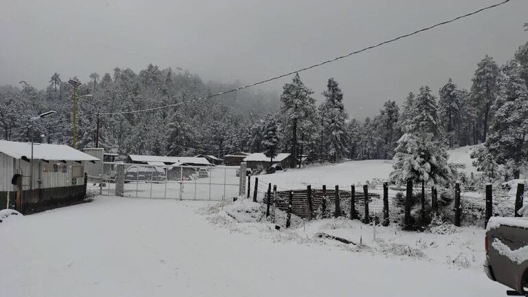 Frente frío 30 en Durango: Alerta por -15 °C y estado de clases