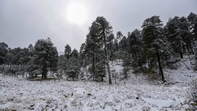 Frente frío 30 y tormenta invernal: pronóstico de heladas en México