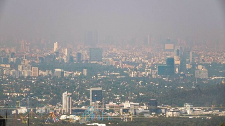 Hoy No Circula Sábado 10 de enero: los autos que quedan paralizados tras la contingencia