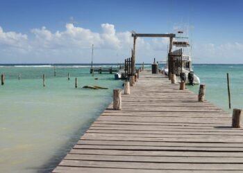 Juez frena temporalmente el uso de suelo para el proyecto “Perfect Day” de Royal Caribbean en Mahahual