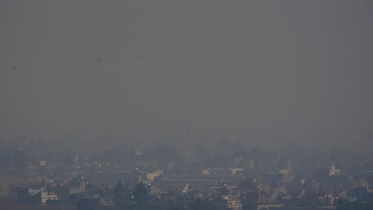 La contingencia no se fue: ¿Por qué el Doble Hoy No Circula afecta solo a Edomex el 2 de enero?