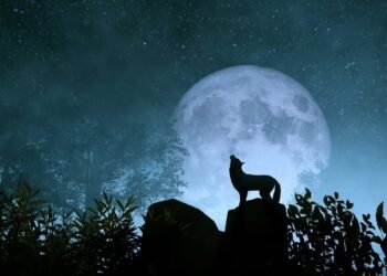 La impactante superluna del lobo: fechas, horas y significado de la primera luna llena de 2026