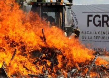 Pese a la crisis: Colombia mantiene la coordinación en la lucha contra el narco